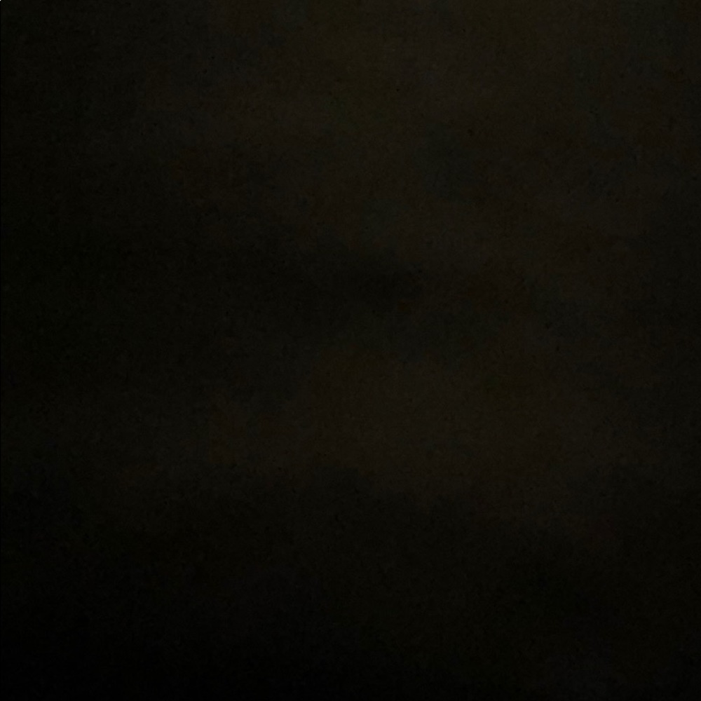 Meet your Posher, Rikki